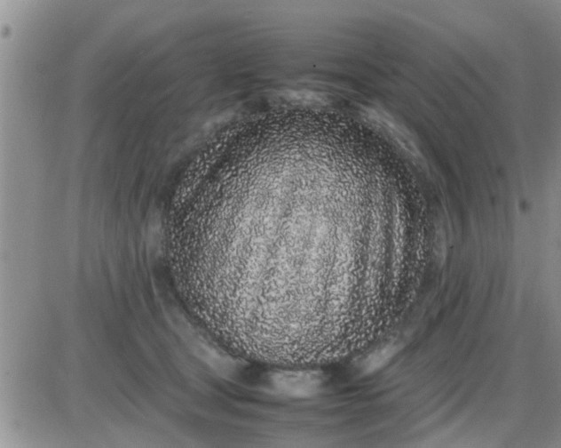 X0000085310465200703231928