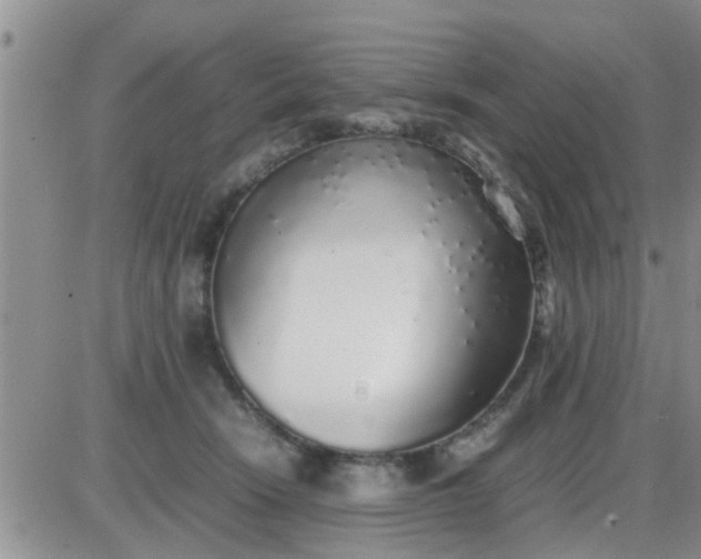 X0000085310466200703231928