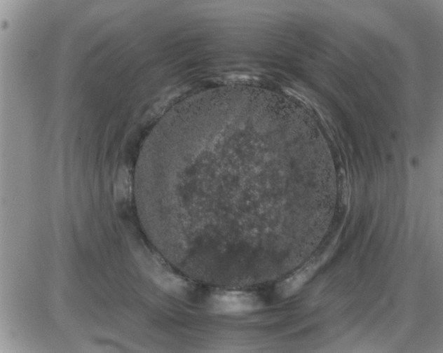 X0000085310467200703231928