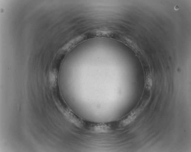 X0000085310468200703231928