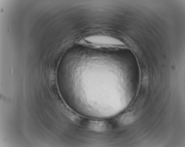 X0000085310469200703231928