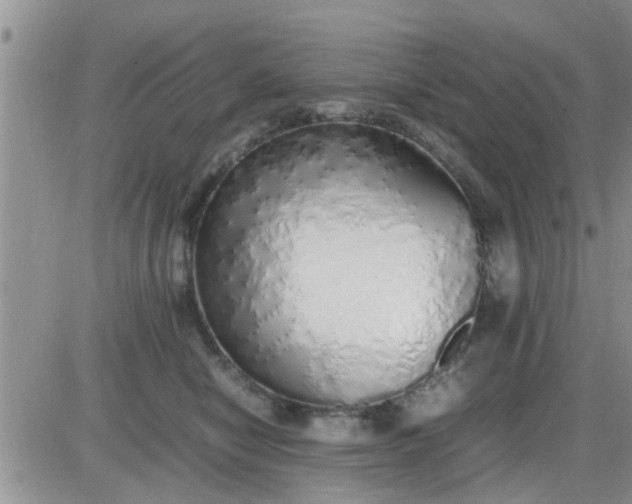 X0000085310470200703231928