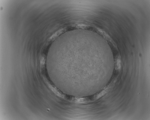 X0000085310472200703231928