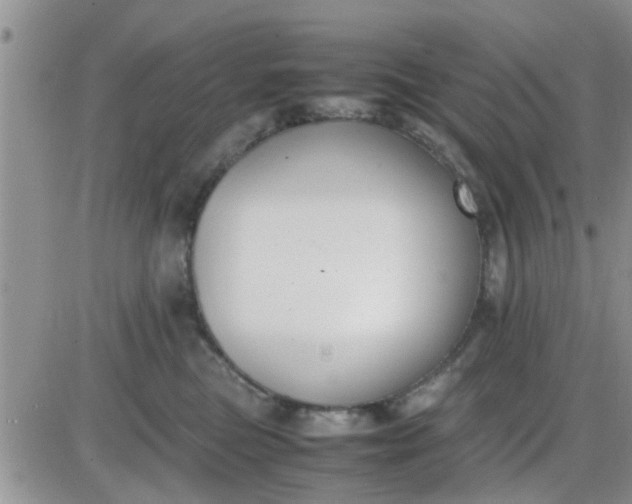 X0000085310473200703231928