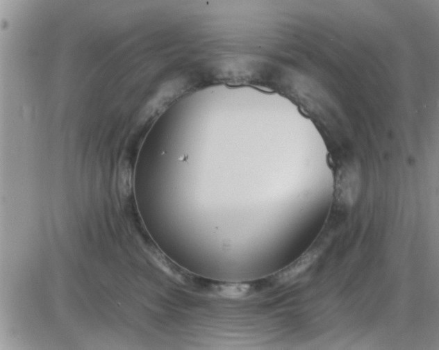 X0000085310474200703231928