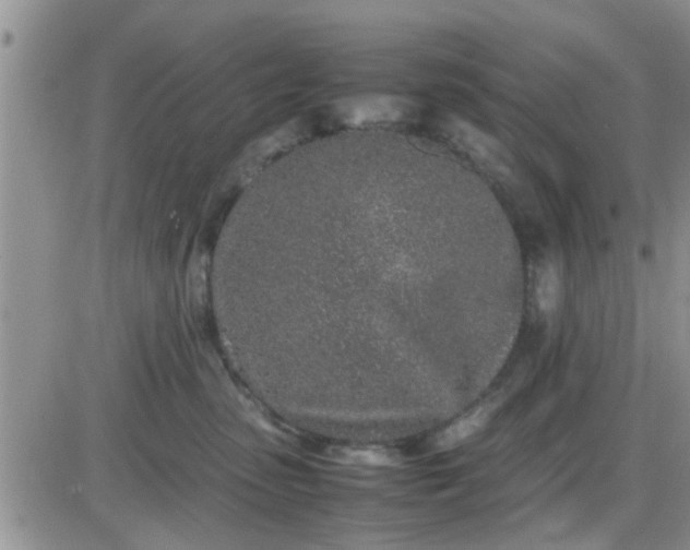 X0000085310475200703231928