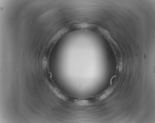 X0000085310476200703231928