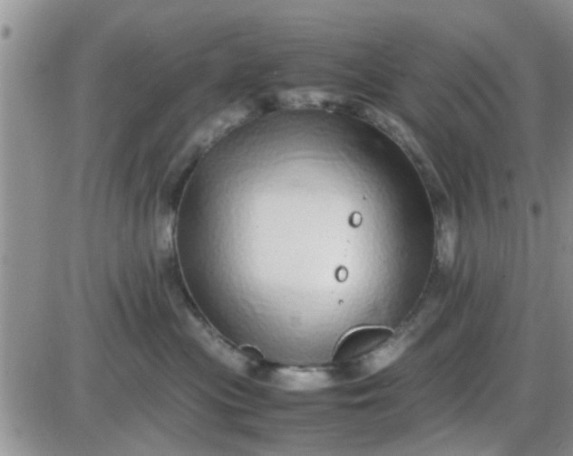 X0000085310477200703231928