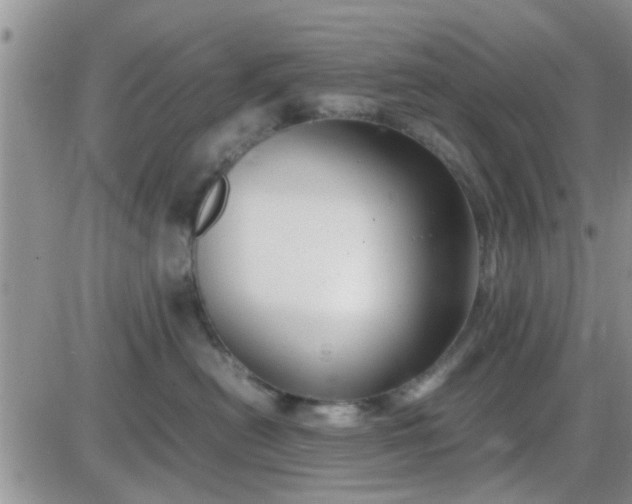 X0000085310478200703231928