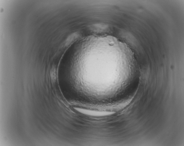 X0000085310479200703231928