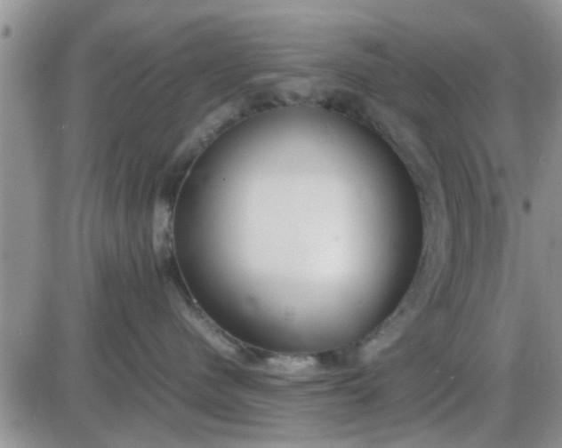 X0000085310480200703231928