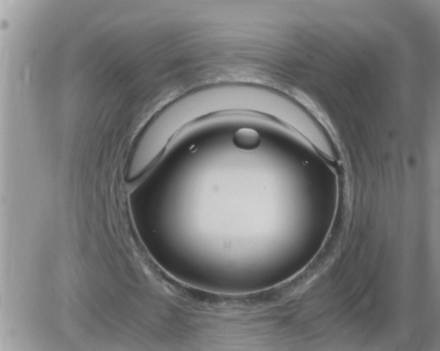 X0000085310481200703231928