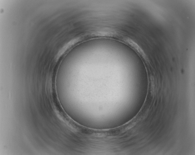 X0000085310482200703231927