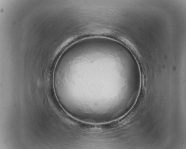 X0000085310483200703231927