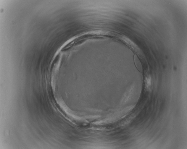 X0000085310484200703231927