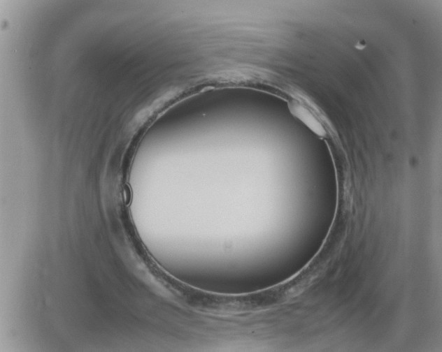 X0000085310485200703231927