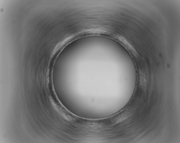 X0000085310486200703231927