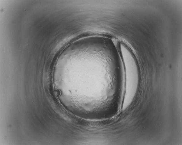 X0000085310487200703231927