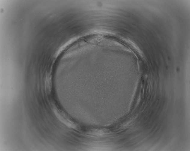 X0000085310488200703231927