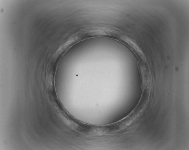 X0000085310489200703231927