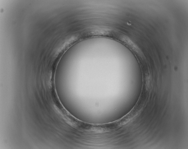 X0000085310490200703231927