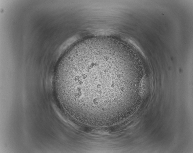 X0000085310491200703231927