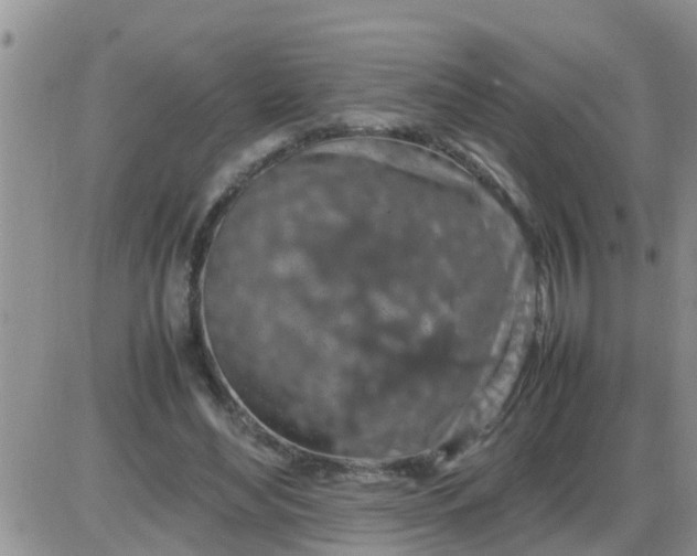 X0000085310492200703231927