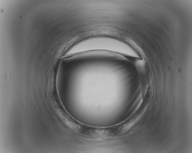 X0000085310493200703231927