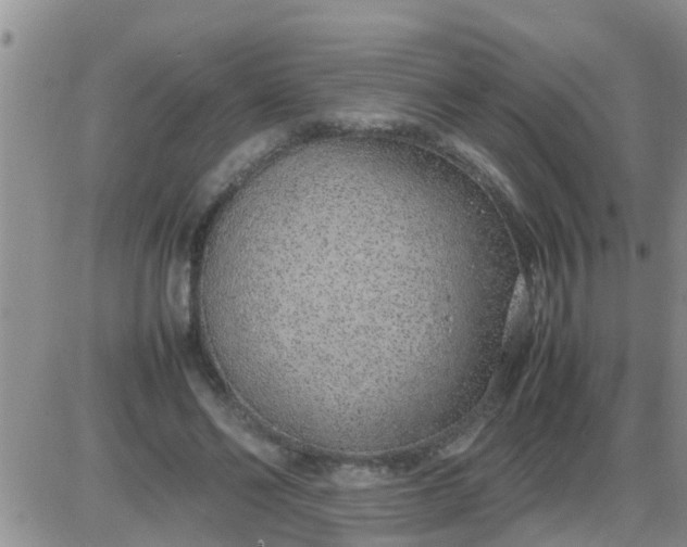 X0000085310494200703231927