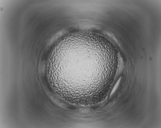 X0000085310495200703231927