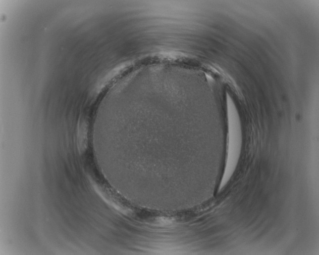 X0000085310496200703231927