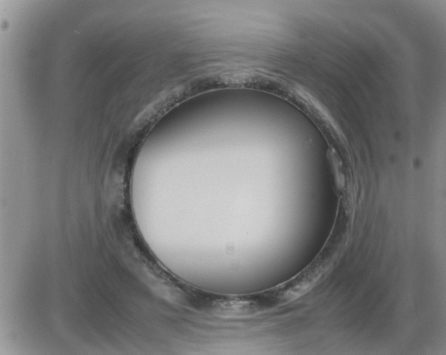 X0000085310497200703231927