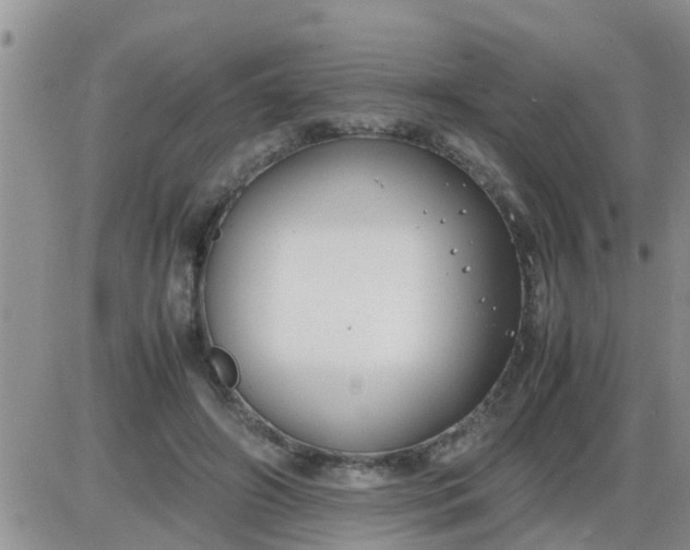 X0000085310498200703231927