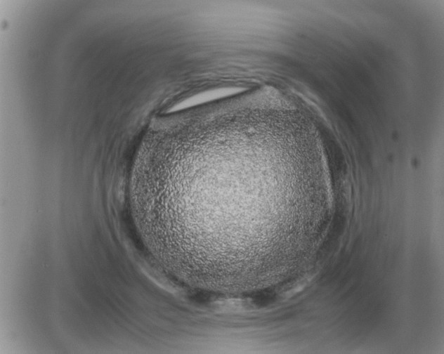 X0000085310499200703231927