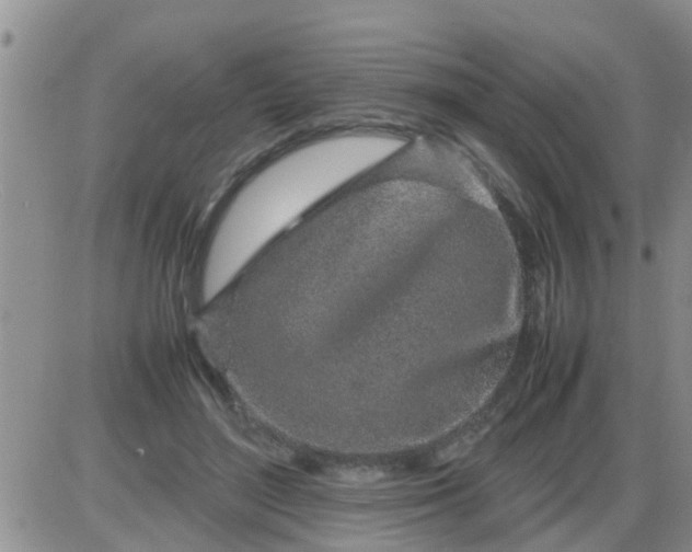 X0000085310500200703231927