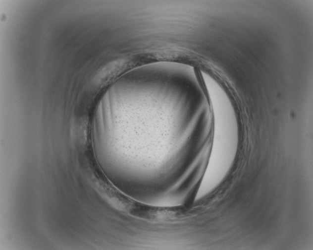 X0000085310501200703231927