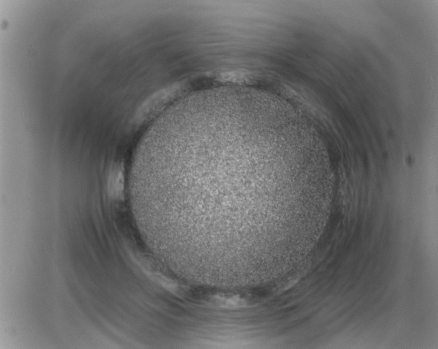 X0000085310502200703231927