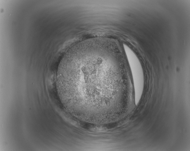 X0000085310503200703231927