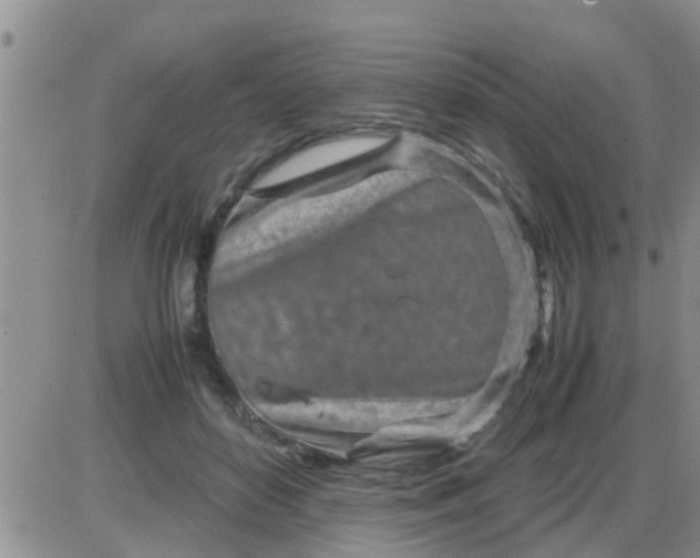 X0000085310504200703231927