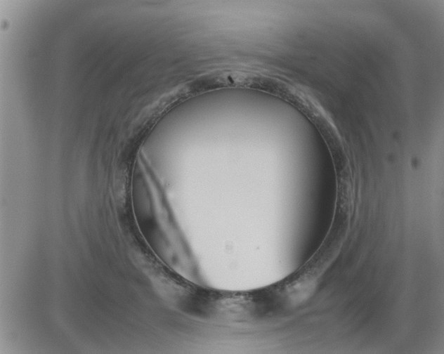 X0000085310505200703231927