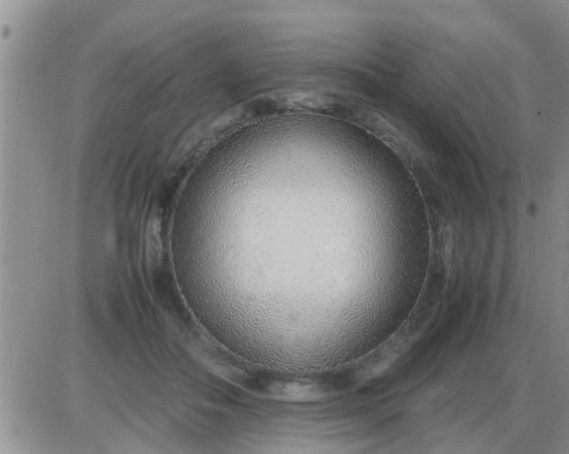 X0000085310506200703231927