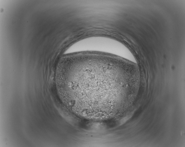 X0000085310507200703231927