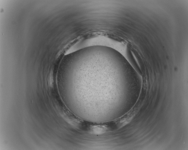 X0000085310508200703231927