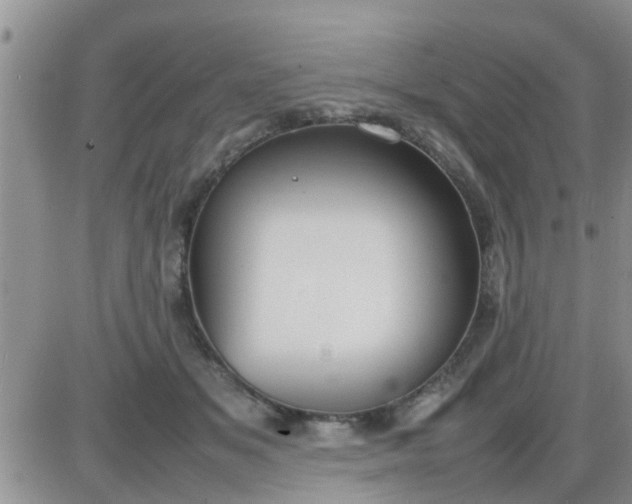 X0000085310509200703231927