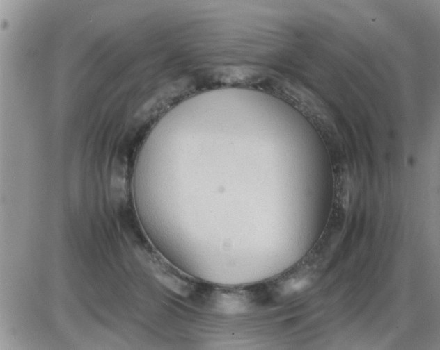 X0000085310510200703231927