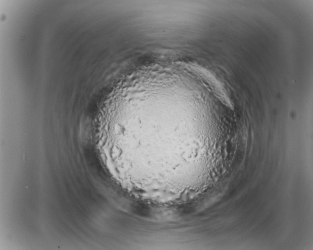 X0000085310511200703231927