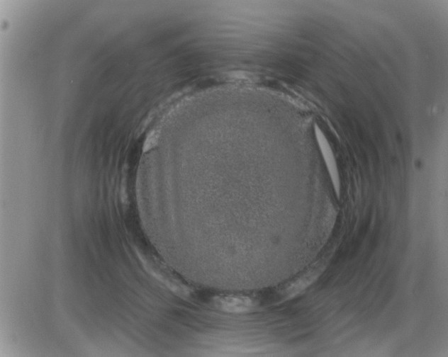 X0000085310512200703231927