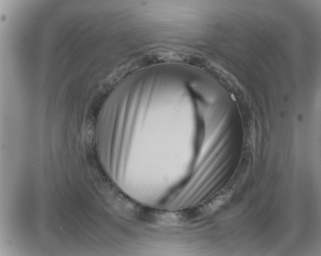 X0000085310513200703231927