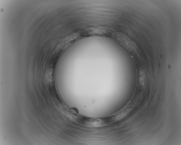 X0000085310514200703231927