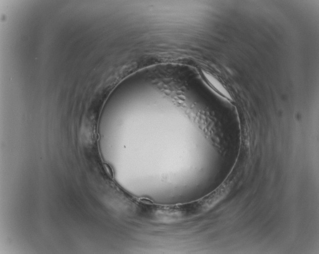 X0000085310515200703231927